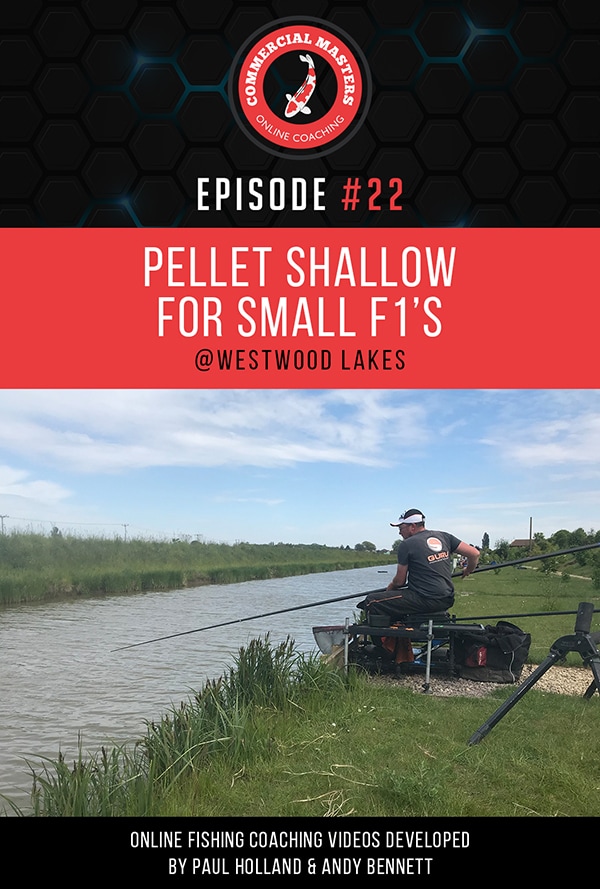 Episode 22 - Pellet Shallow for small F1s